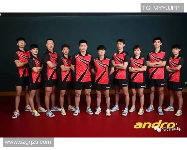 乒乓球战术深度解析:杭州乒乓球队的战术布局与训练策略探讨