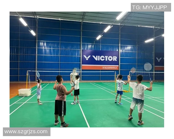 西安羽毛球队的崛起与发展探索羽毛球运动的力量与魅力